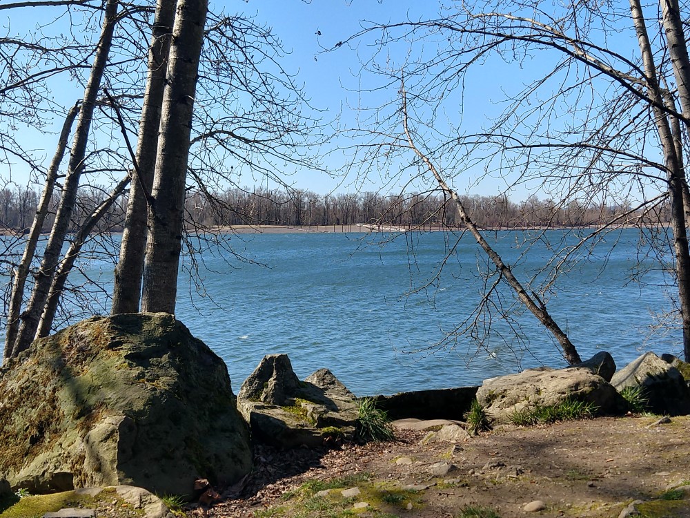Fisher's Landing Estuary Partnership